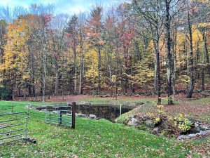 Land Clearing, hardscaping and construction site work serving New Hampshire